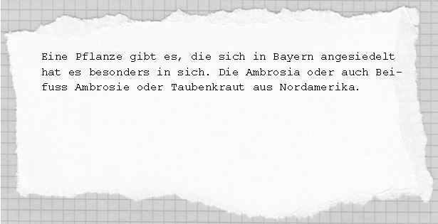 Lektoratsbeispiel 09