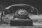 Phone Nr.